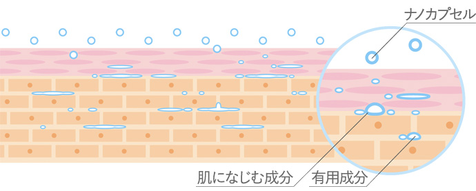 スフィンゴミエリンナノカプセル採用